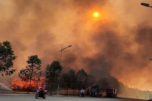 Cháy bãi lau sậy rộng hàng chục ha trong Khu Công nghệ cao Thủ Đức