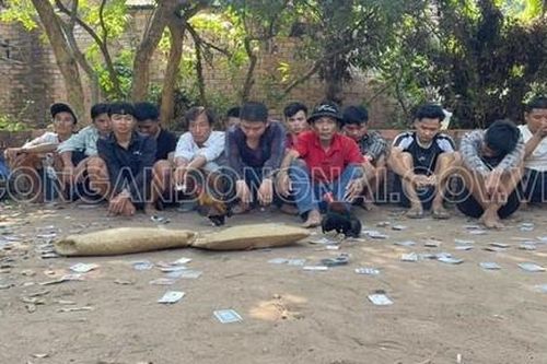 Liên tiếp triệt phá 2 tụ điểm đá gà ở Đồng Nai
