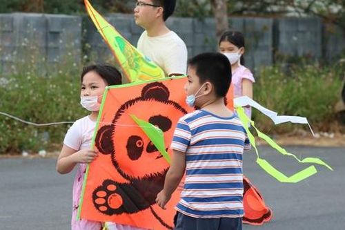 Tuổi thơ của trẻ em Sài Gòn với cánh đồng diều lộng gió