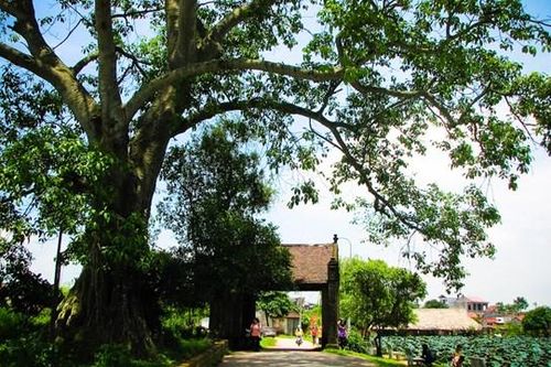 Kiến trúc Việt khi phố tiến về làng