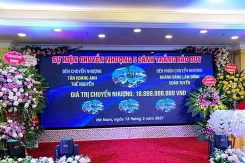 99% đối tượng buôn bán hoa lan là giả