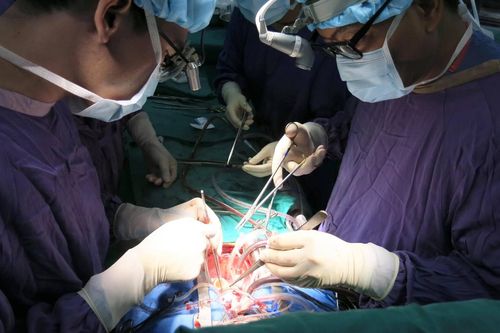 Giải pháp chống nạn buôn bán mô, bộ phận cơ thể người tại Việt Nam