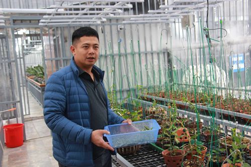 Chưa phát hiện sai phạm vụ giao dịch lan đột biến gần 300 tỷ
