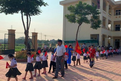Hà Nội rà soát hệ thống cây xanh trong trường học