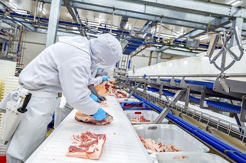 Hà Nam xây dựng chuỗi liên kết trong chăn nuôi