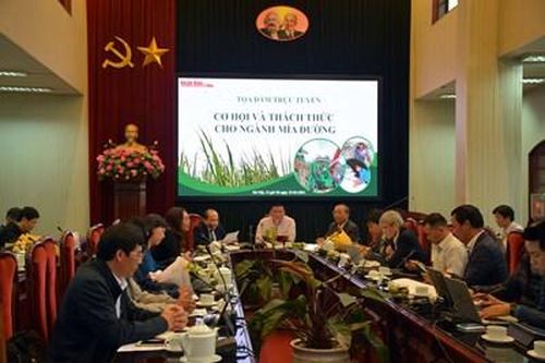 Nông dân và nhà máy phải liên kết để ngành mía đường phát triển bền vững