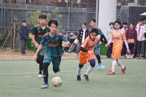 Thực hiện đồng bộ các giải pháp nâng cao thể lực, tầm vóc người Việt Nam