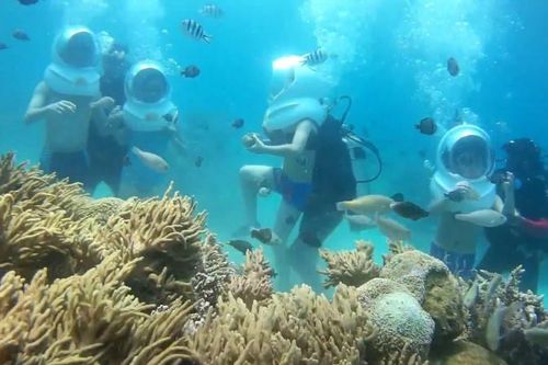 Cứu san hô ở vịnh Nha Trang