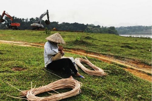 Nông dân đua đòi bán đất theo 'sốt' đất: Quả đắng nhãn tiền