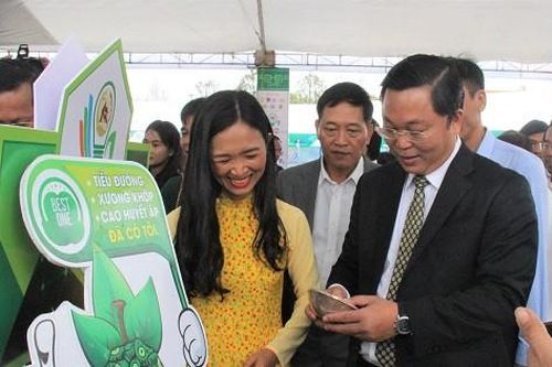 Hơn 100 gian hàng trưng bày tại Ngày hội khởi nghiệp sáng tạo tỉnh Quảng Nam