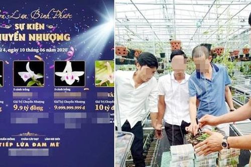 Trong 'cơn sốt bạc tỷ': Chuyên gia lý giải về lan đột biến