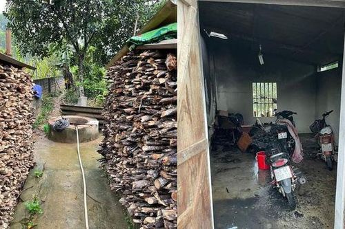 Khởi tố con dâu đốt nhà, đổ thuốc diệt cỏ vào giếng đầu độc nhà chồng