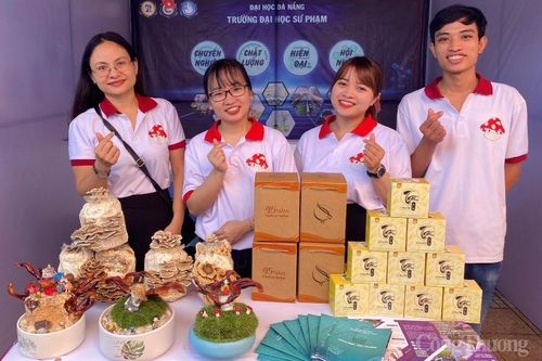 Nhóm bạn trẻ Đà Nẵng: Ước mơ về thương hiệu trà hoa nấm