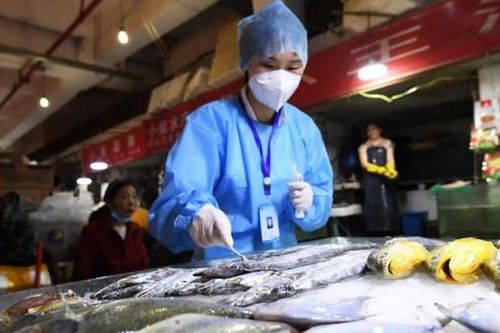Trung Quốc cảnh báo về thủy sản đông lạnh của Việt Nam vi phạm chỉ tiêu dịch bệnh