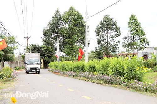 Tạo sức bật cho các vùng nông thôn giai đoạn hội nhập
