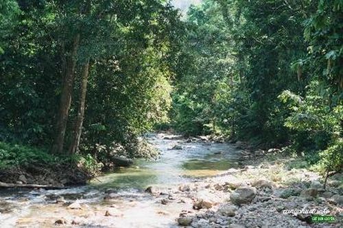Tăng cường thực hiện các biện pháp bảo vệ rừng đặc dụng Vườn Quốc gia Xuân Sơn