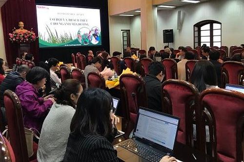 Tìm kiếm giải pháp giúp ngành mía đường phát triển bền vững
