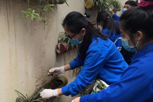 Sôi nổi Ngày Chủ nhật xanh đầu tiên trong năm 2021