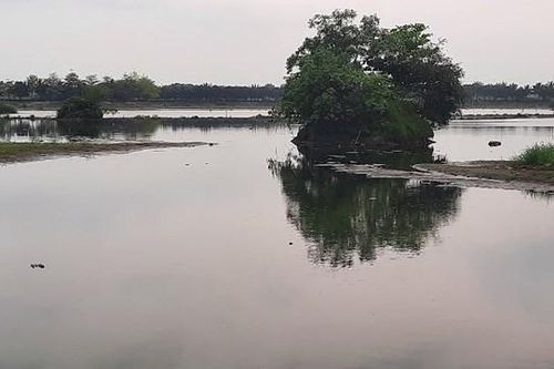 Hồ điều hòa gây ô nhiễm