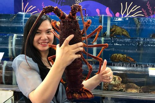 10 triệu đồng một con tôm hùm nhập khẩu