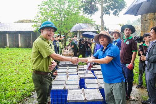 Hành trình 'về nhà' của gần 100 cá thể động vật hoang dã