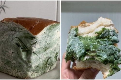 Đua nhau 'săn lùng' món bánh mì mốc meo