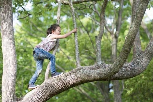 8 nguyên tắc nuôi dạy con gái, đánh bật mọi quan niệm lỗi thời