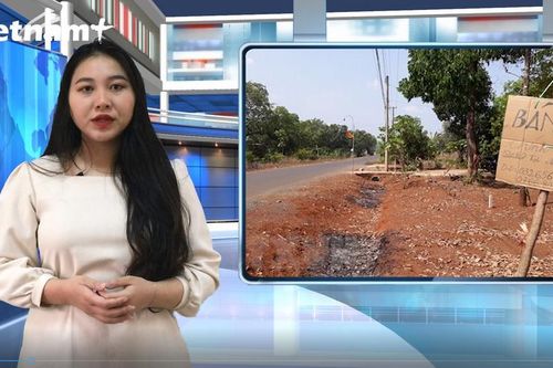 Tình trạng 'sốt đất': Cẩn trọng với các chiêu trò của 'cò'