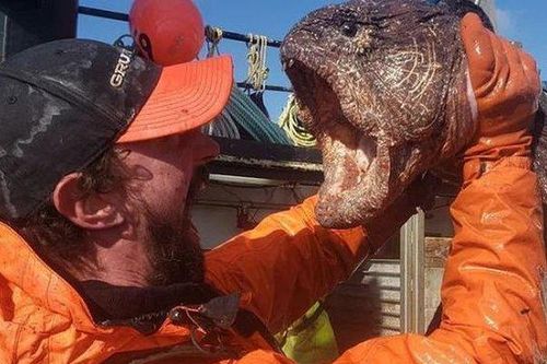 'Lươn quái vật khổng lồ' sa lưới, nhìn hình dáng ngư dân... hết hồn