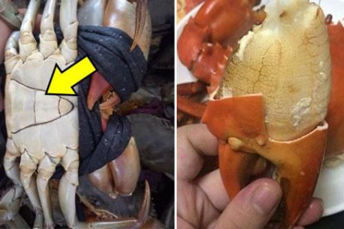 Mua cua cứ nhắm điểm này trên yếm, đảm bảo 100% thịt 'ngập răng', gạch vàng óng