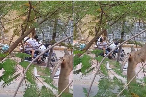 Ngao ngán cảnh cặp đôi học sinh ngả ngớn vào lòng nhau, thể hiện những hành động thân mật giữa đường