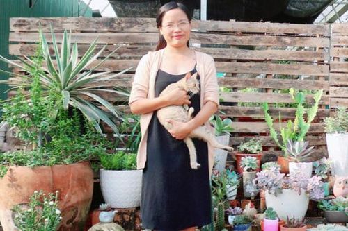Gây dựng vườn xương rồng 100 chủng loại từ số vốn 700 nghìn đồng