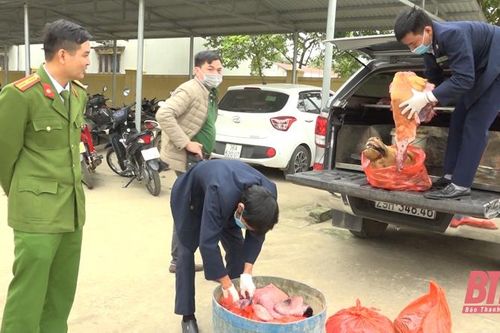 Thạch Thành: Thu giữ gần 100 kg thịt, nội tạng trâu bò không rõ nguồn gốc