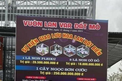 'Các giao dịch lan đột biến tiền tỷ đều là ảo hoặc sang tay nên khó thu thuế'