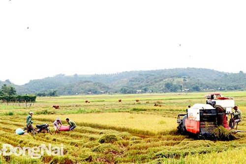 Đổi thay ở một xã vùng sâu