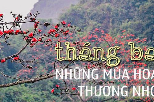 Tháng Ba những mùa hoa thương nhớGóp nhặt hương đơìLời răn dạy làm người qua lớp học hát ThenMộc mạc chợ phiên Hồng QuangNhững lớp học đặc biệt U50Nghị quyết 15 của Ban Thường vụ Tỉnh ủy - cú huých phát triển nông nghiệp nông thônNhững người giữ 'hồn' dân