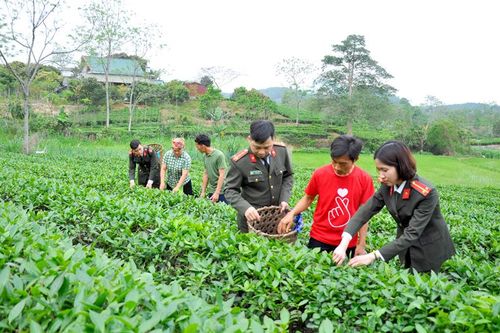 Tuổi trẻ Công an tỉnh dân vận khéo