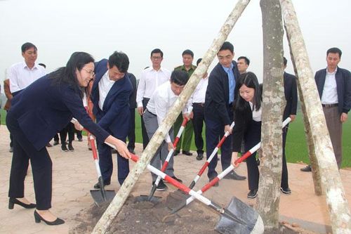T.P Sông Công: Phát động Tết trồng cây