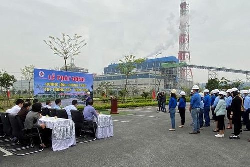 Công ty Nhiệt điện Thái Bình: Hưởng ứng phong trào 'Tết trồng cây' năm 2021