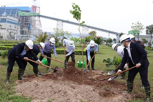 Khoảng 5.700 cây xanh đã được trồng tại Nhà máy Nhiệt điện Thái Bình