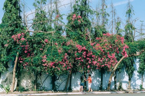Những góc sống ảo 'gây thương nhớ' ở Vũng Tàu khiến các bạn trẻ không thể rời mắt