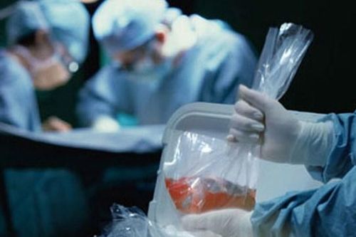 Sớm sửa luật để tăng nguồn hiến tạng