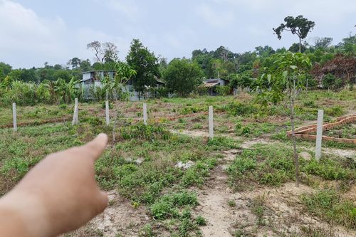 Ồ ạt mua bán 'đất chỉ' ở Phú Quốc