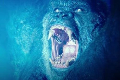 'Godzilla vs. Kong' và tiềm năng bùng nổ tại phòng vé quốc tế
