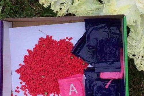 16.000 viên ma túy vứt bên lề đường