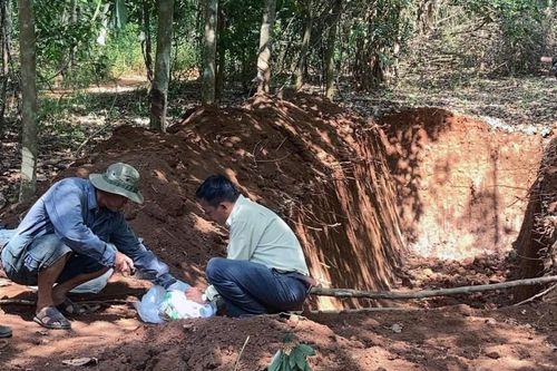 Không phát hiện dịch bệnh trên đàn lợn chết chôn lấp ở Đồng Nai