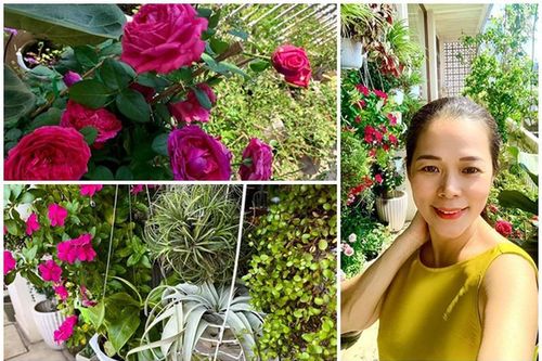'Đã mắt' vườn ban công nở hoa 4 mùa trong nhà ca sĩ Mỹ Lệ