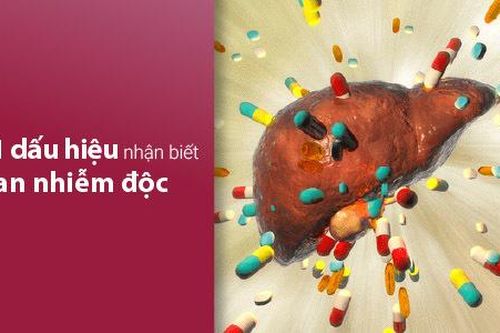 11 dấu hiệu nhận biết gan nhiễm độc để điều trị kịp thời