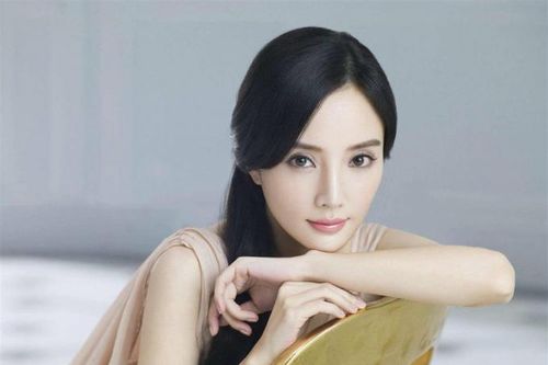 Tìm đường quay lại showbiz Lý Tiểu Lộ bị lừa 43 tỷ đồng