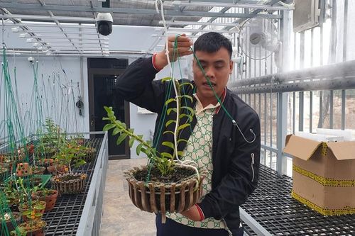 Công an thông tin vụ giao dịch lan đột biến gần 300 tỷ